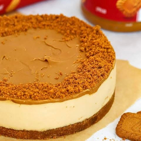 Biscoff Cheesecake